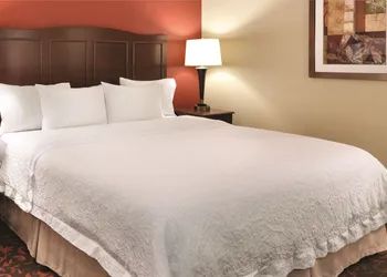 Hampton Inn Houston-Willowbrook Mall hotel thumbnail 4