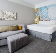 Courtyard by Marriott Houston Downtown/Convention Center hotel detail image 5