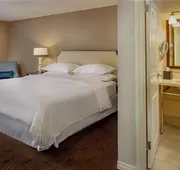Sheraton Westport Chalet Hotel St. Louis hotel detail image 7