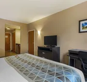 Best Western Plus Miami Executive Airport Hotel & Suites hotel detail image 5