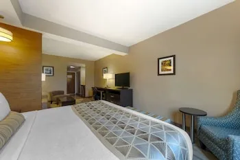 Best Western Plus Miami Executive Airport Hotel & Suites hotel thumbnail 8