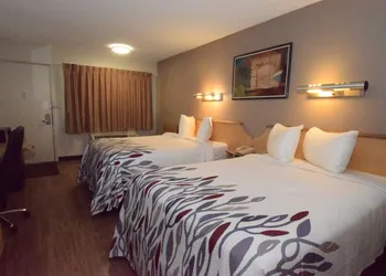 Red Roof Inn Buffalo – Hamburg/ I-90 hotel thumbnail 2