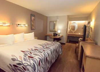 Red Roof Inn Buffalo – Hamburg/ I-90 hotel thumbnail 4