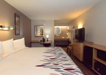 Red Roof Inn Buffalo – Hamburg/ I-90 hotel thumbnail 6