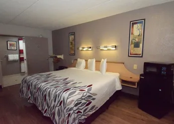 Red Roof Inn Buffalo – Hamburg/ I-90 hotel thumbnail 7