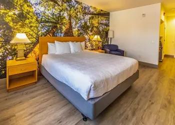 The Hanford Hotel, an Ascend Collection Hotel hotel thumbnail 4