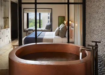 1 Hotel Central Park hotel thumbnail 5