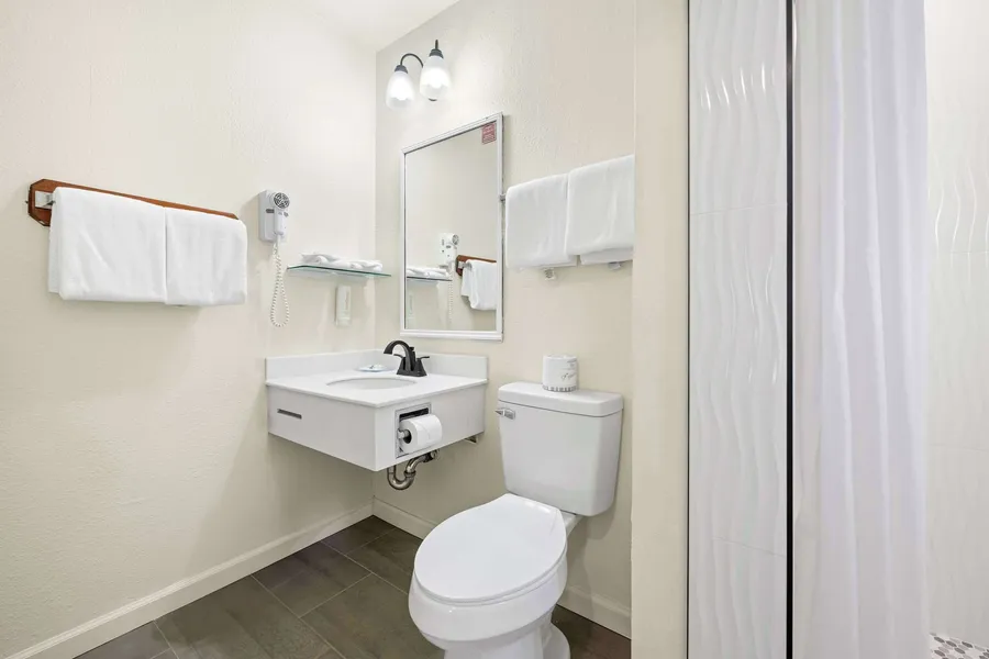Econo Lodge Inn & Suites Heavenly Village Area hotel detail image 6
