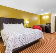 Best Western Jacksonville Inn hotel detail image 7