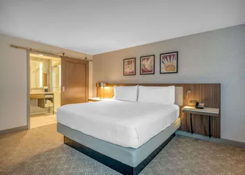 Hilton Garden Inn Boston Logan Airport hotel thumbnail 5