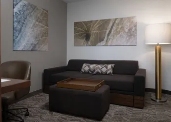 SpringHill Suites Orlando at FLAMINGO CROSSINGS® Town Center/Western Entrance hotel thumbnail 5