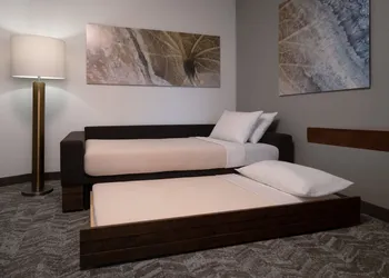 SpringHill Suites Orlando at FLAMINGO CROSSINGS® Town Center/Western Entrance hotel thumbnail 6