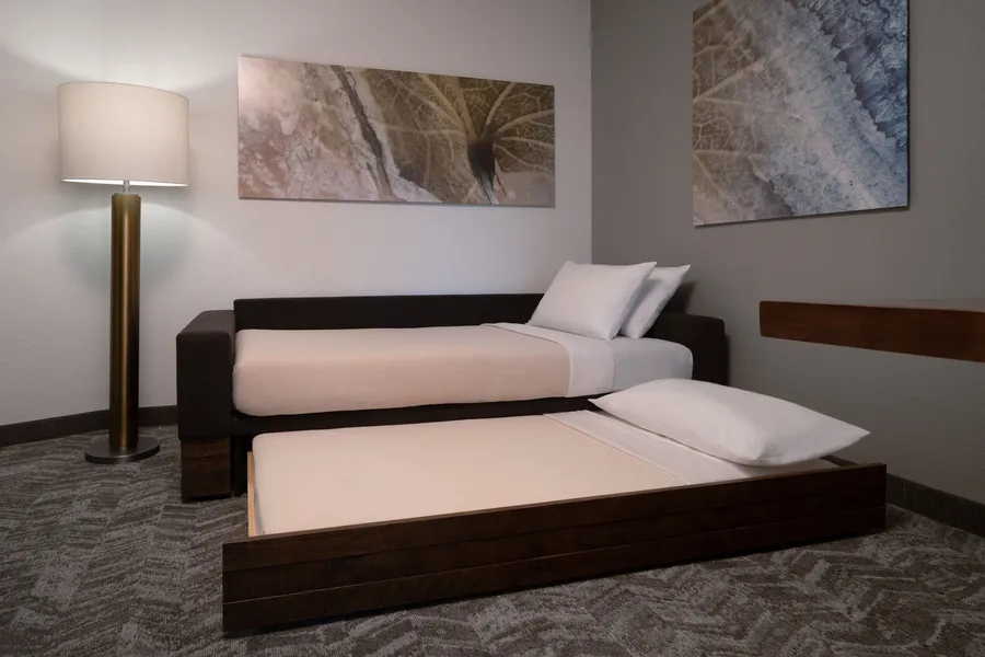 SpringHill Suites Orlando at FLAMINGO CROSSINGS® Town Center/Western Entrance hotel detail image 6