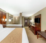 Comfort Suites Carlsbad hotel detail image 7