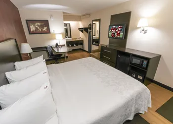Red Roof Inn PLUS+ Birmingham East - Irondale/ Airport hotel thumbnail 8