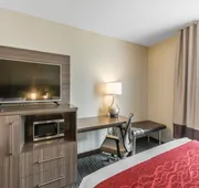 Comfort Inn & Suites Airport North hotel detail image 7