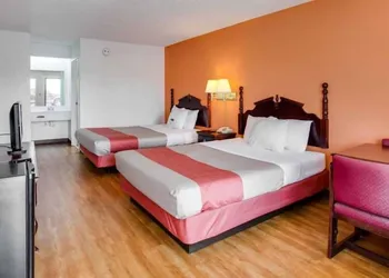 Motel 6 White House, TN hotel thumbnail 8
