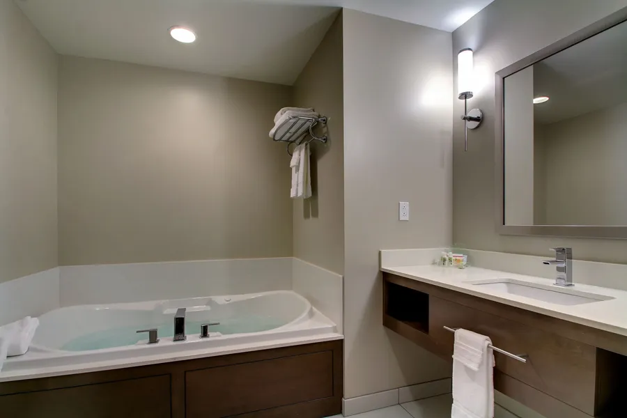 Holiday Inn & Suites Peoria At Grand Prairie by IHG hotel detail image 2