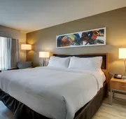 Holiday Inn & Suites Peoria At Grand Prairie by IHG hotel detail image 5