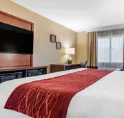 Comfort Inn & Suites Leeds I-20 hotel detail image 3