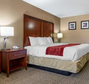 Comfort Inn & Suites Leeds I-20 hotel detail image 5
