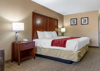 Comfort Inn & Suites Leeds I-20 hotel thumbnail 5
