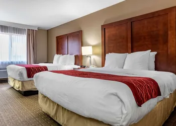 Comfort Inn & Suites Leeds I-20 hotel thumbnail 6
