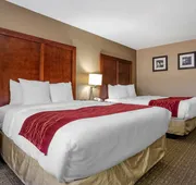 Comfort Inn & Suites Leeds I-20 hotel detail image 7