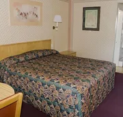 Motel 8 Willcox hotel detail image 4