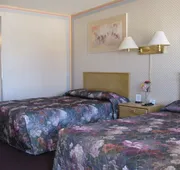 Motel 8 Willcox hotel detail image 5