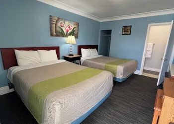 Tulip Motel hotel thumbnail 5