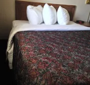 Bancroft Inn & Suites hotel detail image 7