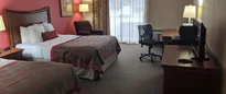 Hotel thumbnail 5