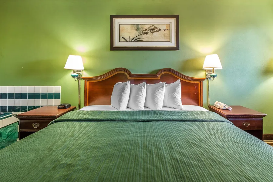 Quality Inn & Suites Macon North hotel detail image 6