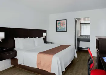 Quality Inn Miami South hotel thumbnail 8