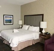 Hampton Inn Sevierville hotel detail image 5