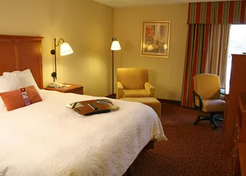 Hampton Inn Sevierville hotel thumbnail 6