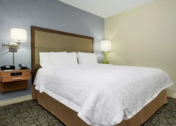 Hampton Inn Austin/Airport Area South hotel thumbnail 7