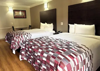 Red Roof Inn & Suites Houston - Hobby Airport hotel thumbnail 8