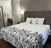 Red Roof Inn Austin - Round Rock hotel detail image 3