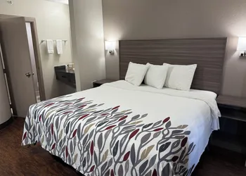 Red Roof Inn Austin - Round Rock hotel thumbnail 3