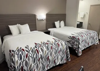 Red Roof Inn Austin - Round Rock hotel thumbnail 8