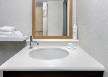 Hampton Inn Buffalo-Airport / Galleria Mall hotel thumbnail 8