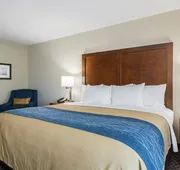 Comfort Inn Edwardsville - St. Louis hotel detail image 7