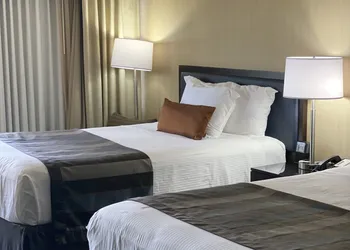 Wingate by Wyndham Springfield hotel thumbnail 4