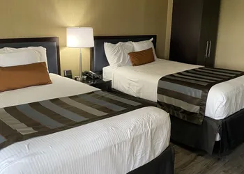 Wingate by Wyndham Springfield hotel thumbnail 7
