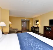 Comfort Suites Near Gettysburg Battlefield Visitor Center hotel detail image 7