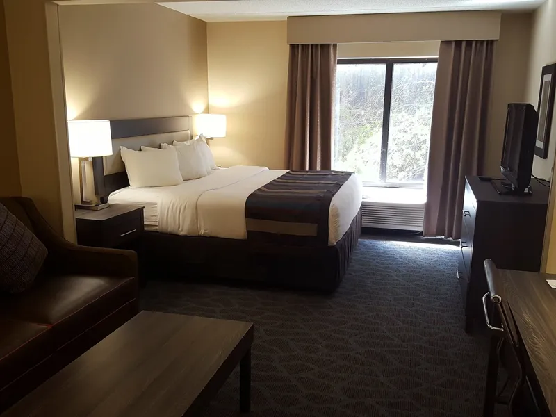 Comfort Suites Alpharetta/Roswell - Atlanta Area hotel detail image 6