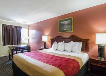 Econo Lodge Charlottesville North - University Area hotel thumbnail 4
