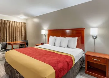 Econo Lodge Charlottesville North - University Area hotel thumbnail 7